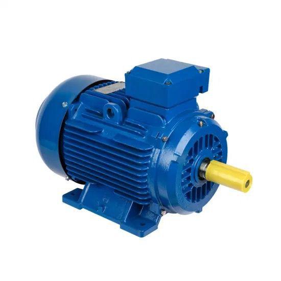 Three Phase Electric Motors